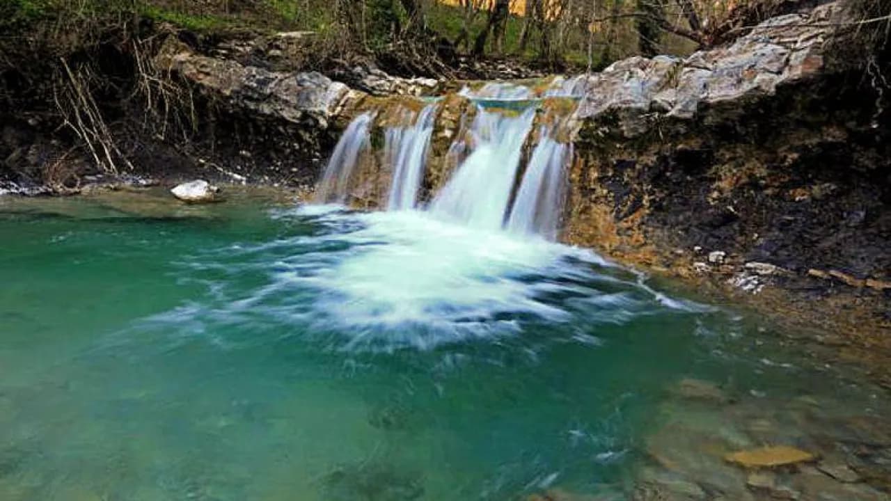 Изображение услуги6