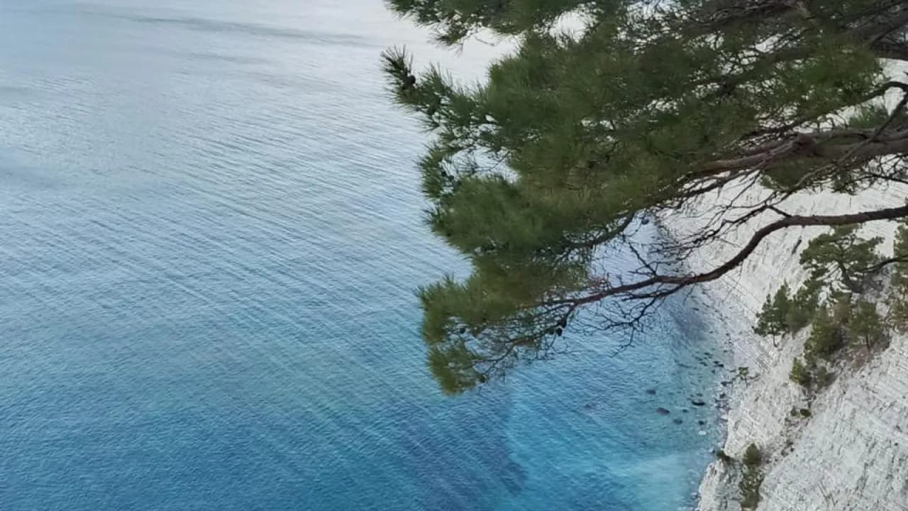 Изображение услуги11