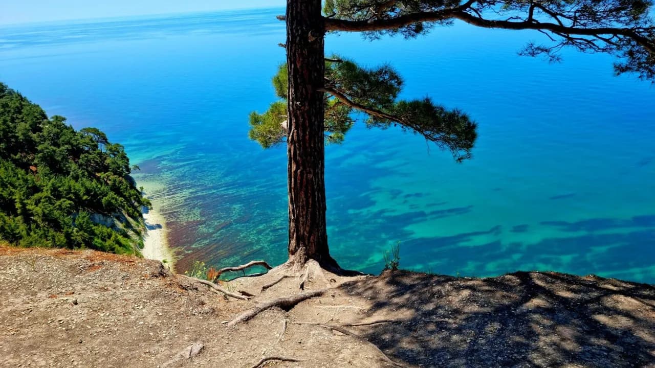 Изображение услуги12