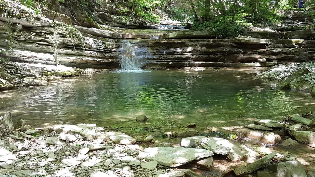 Изображение услуги1