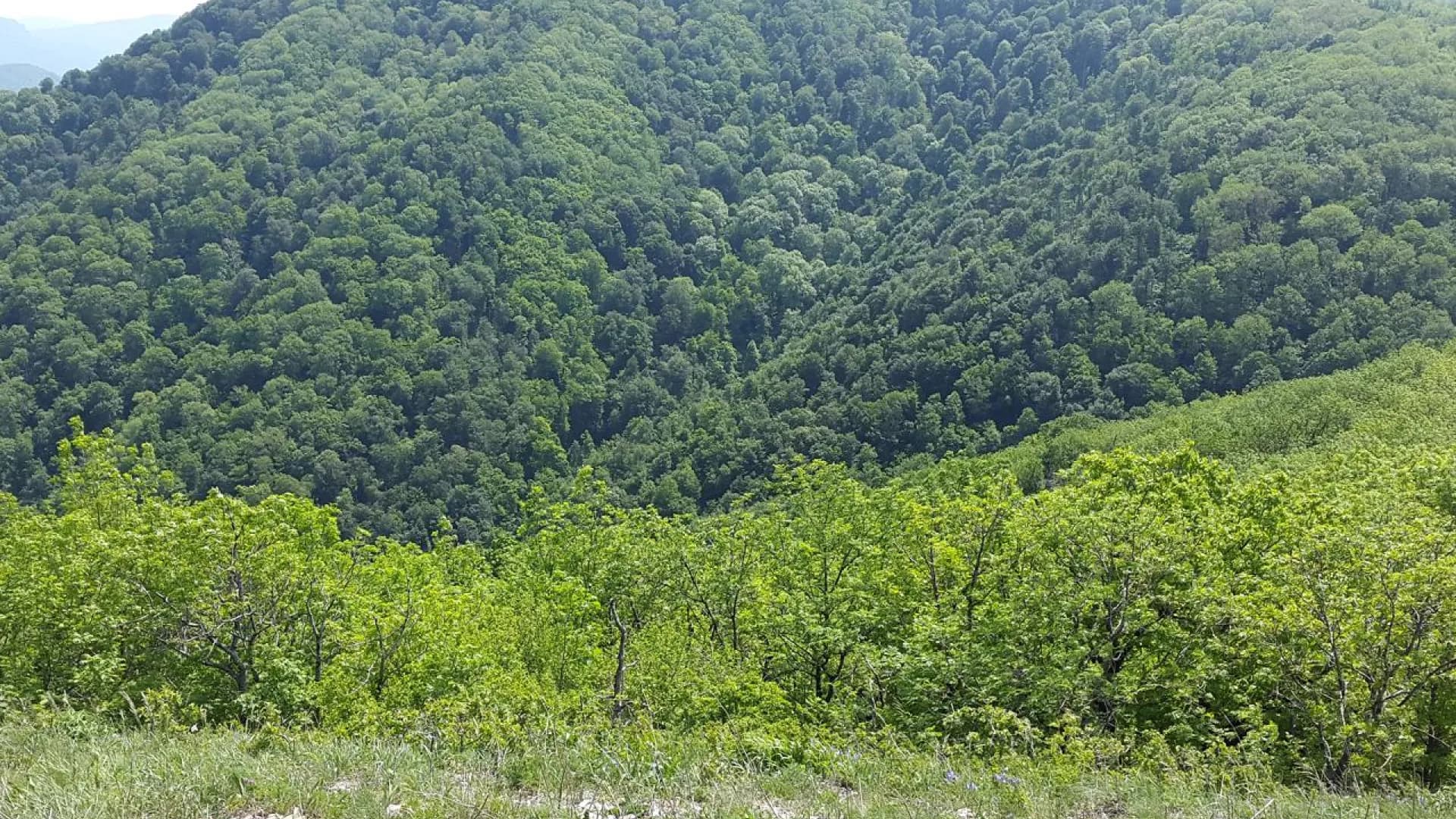 Изображение услуги3