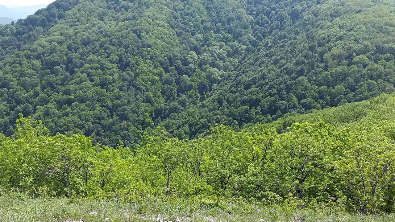 Изображение услуги3