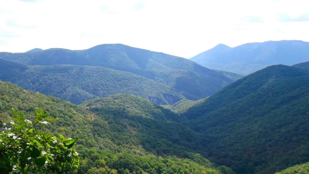 Изображение услуги4