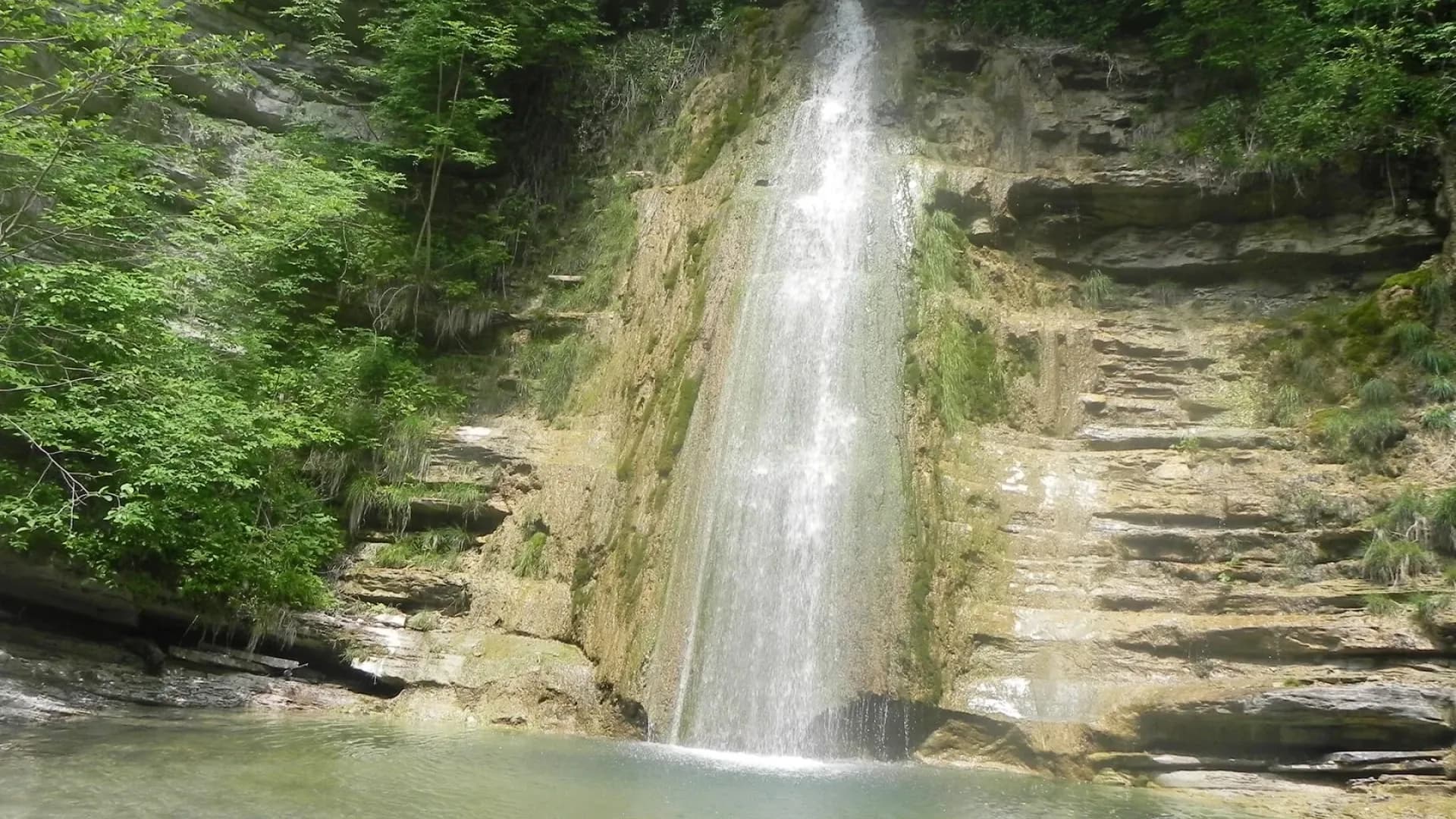 Изображение услуги5