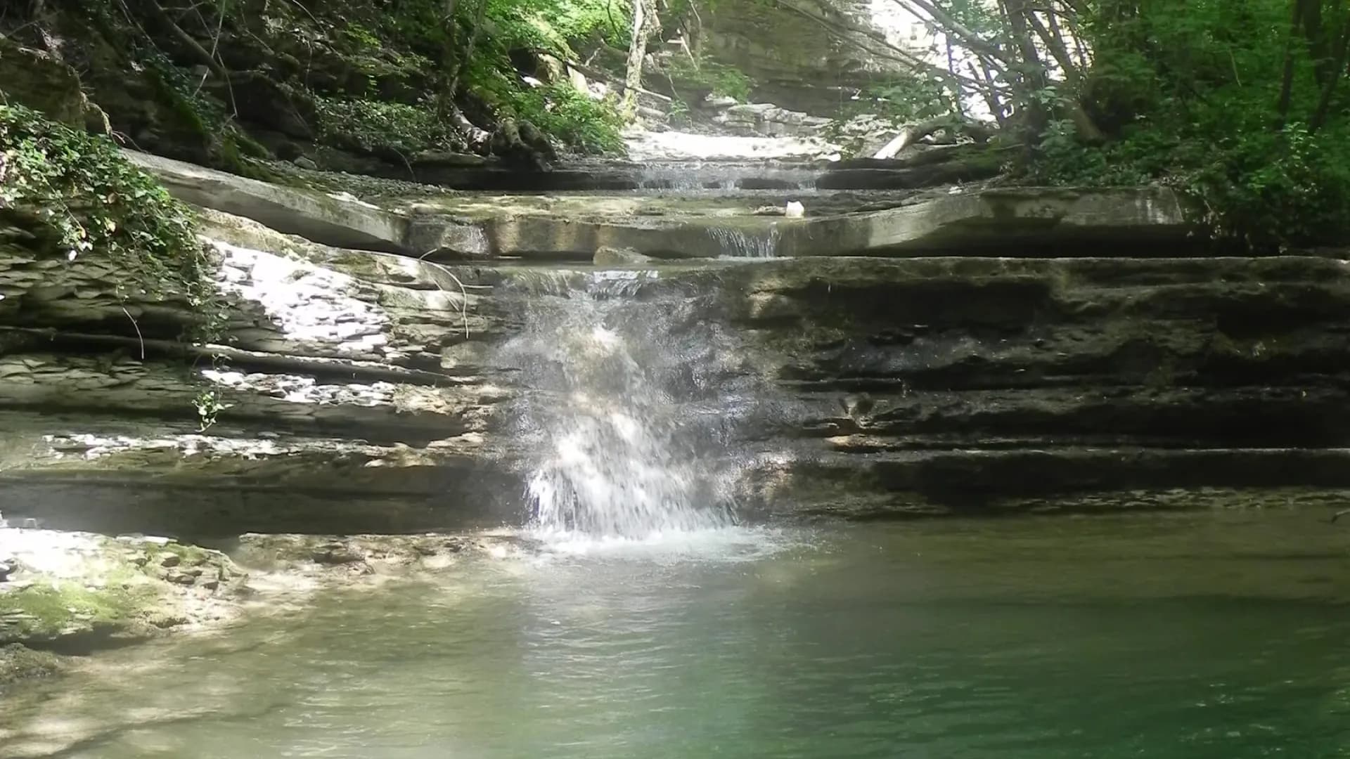 Изображение услуги6