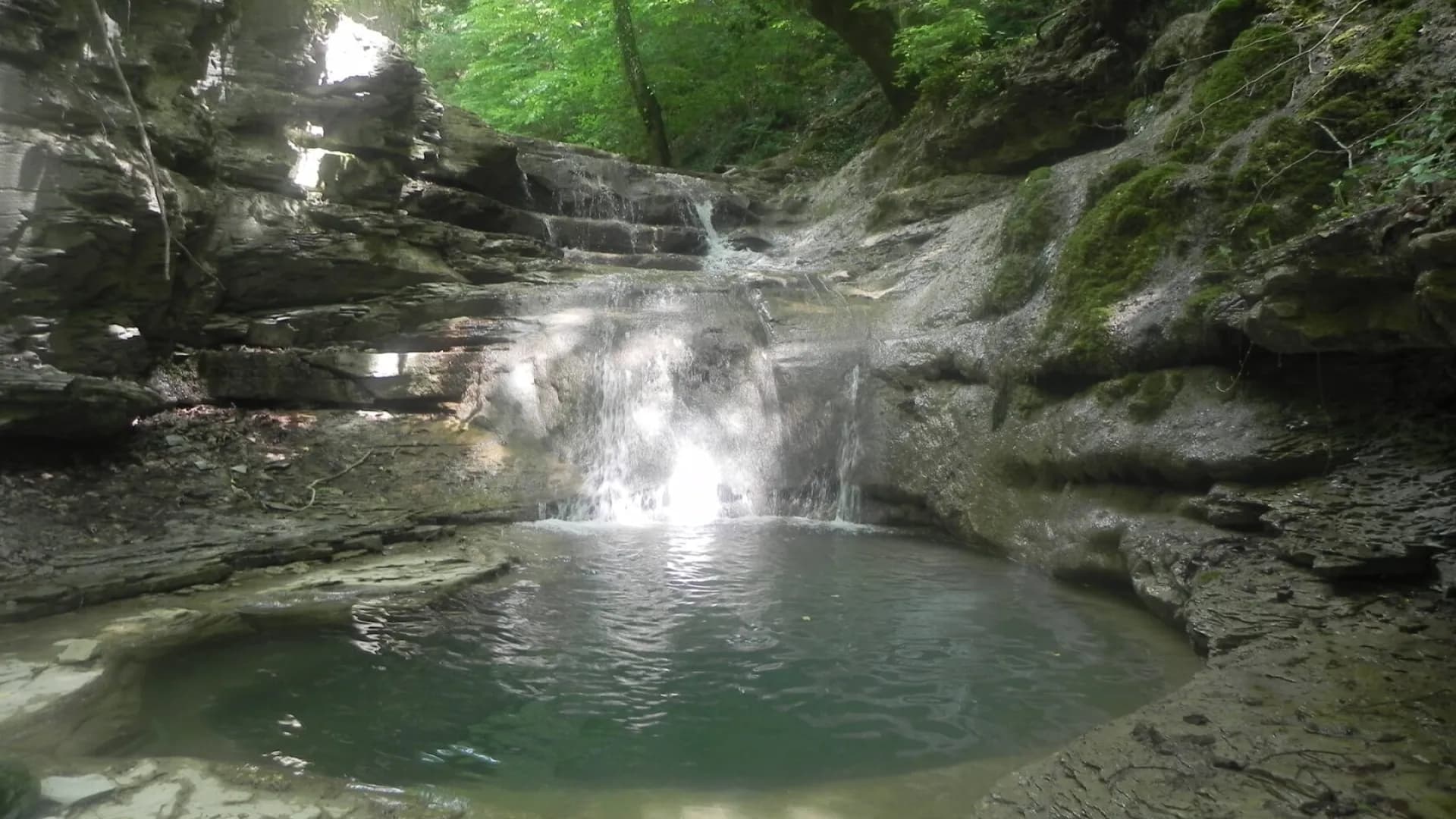 Изображение услуги7