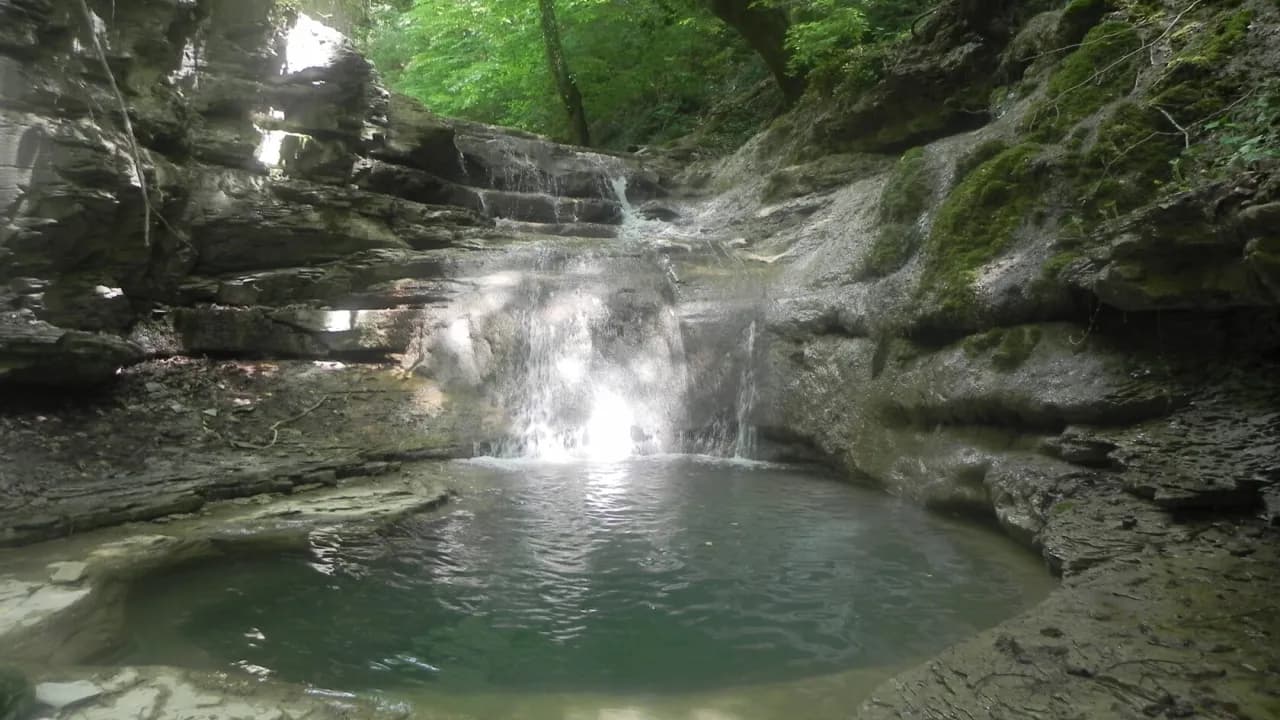 Изображение услуги7