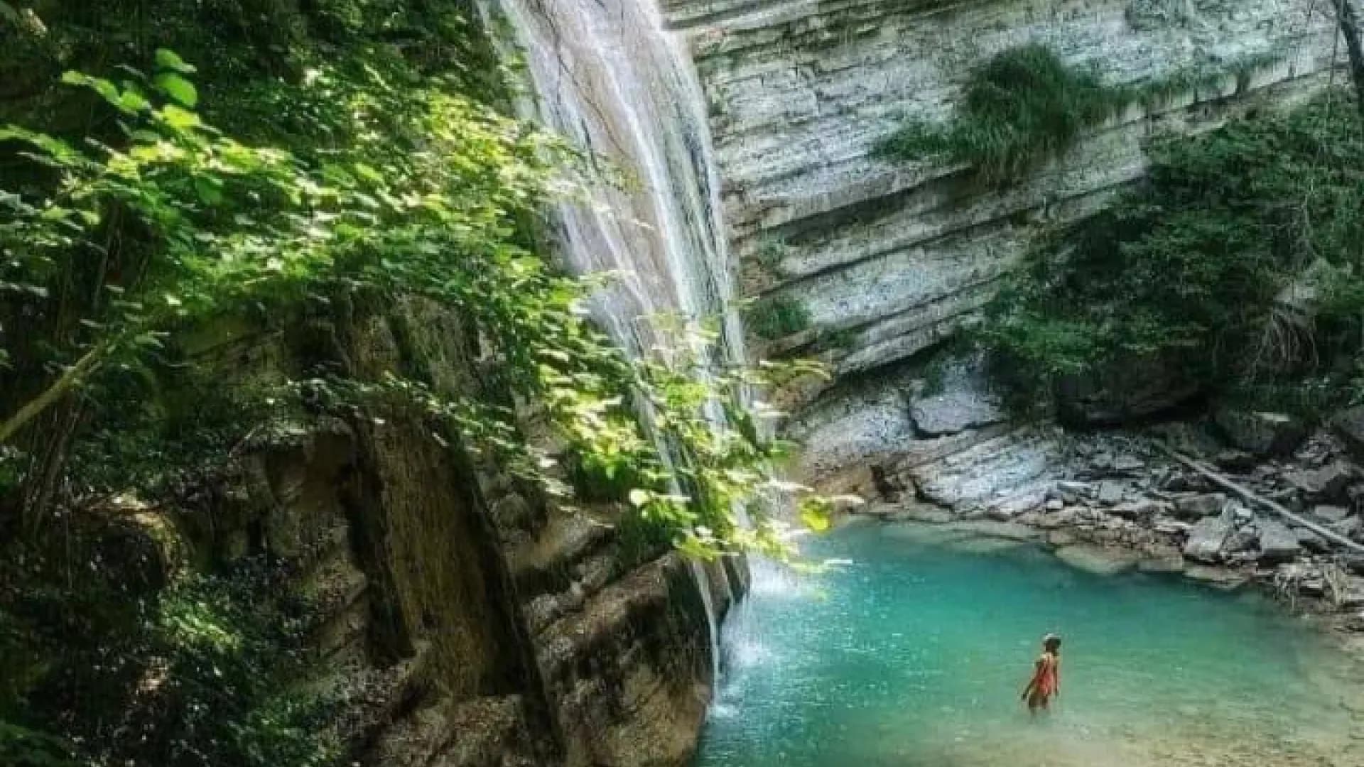 Изображение услуги3