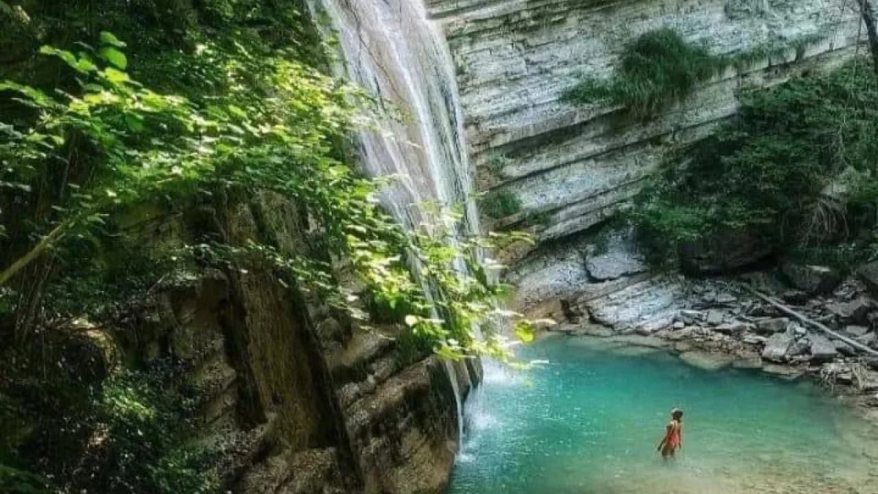 Изображение услуги3