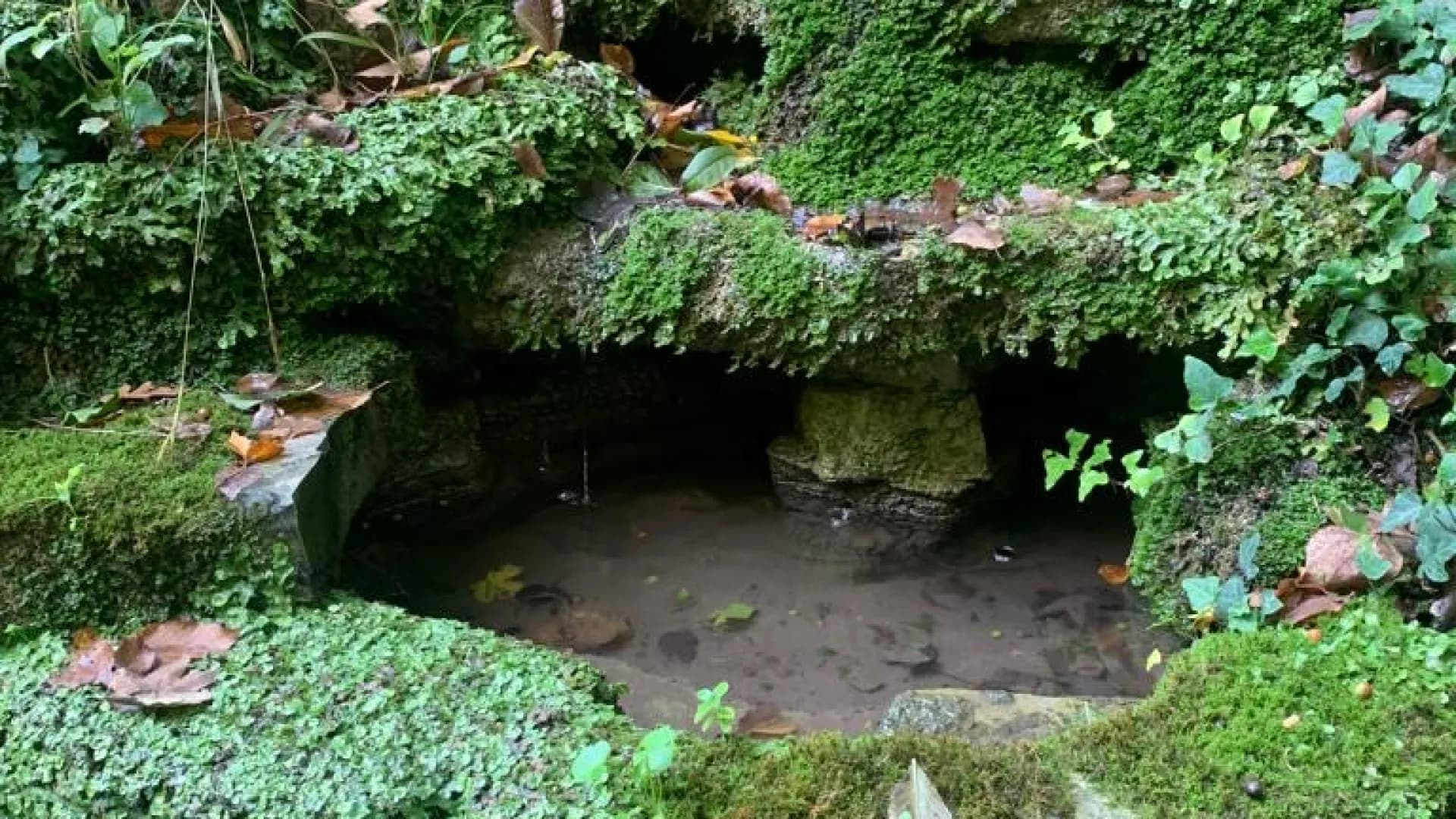 Изображение услуги5