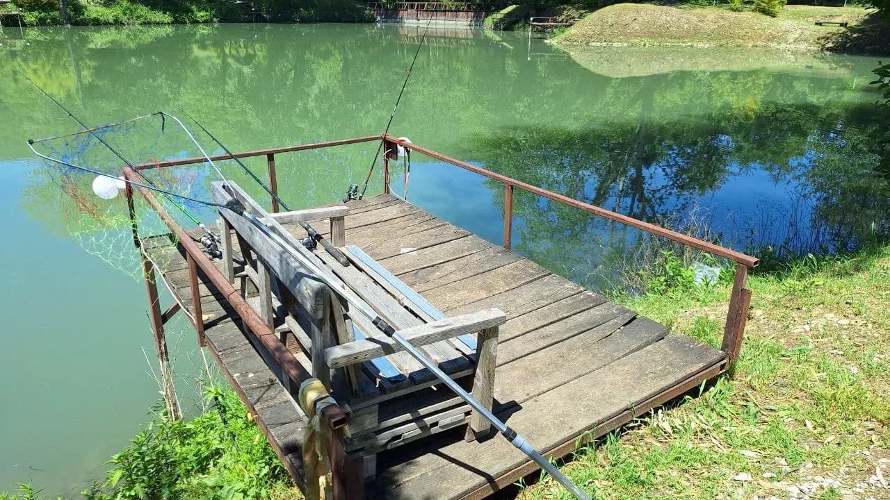 Изображение услуги1