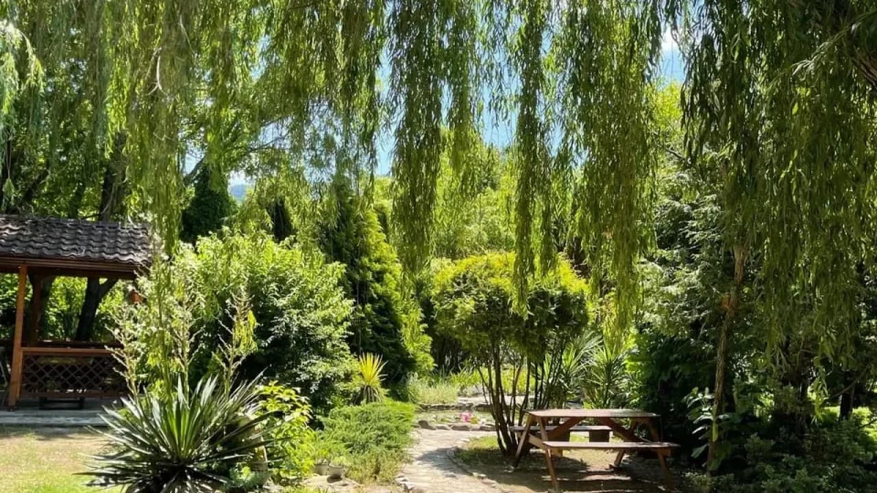 Изображение услуги3