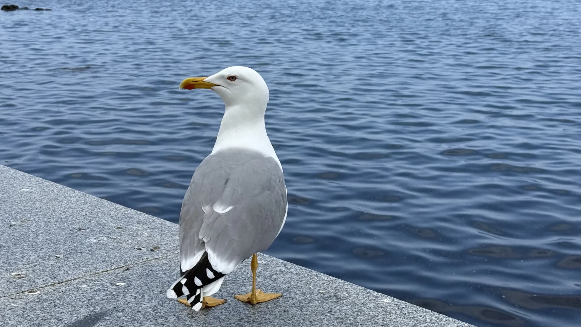 Изображение услуги1