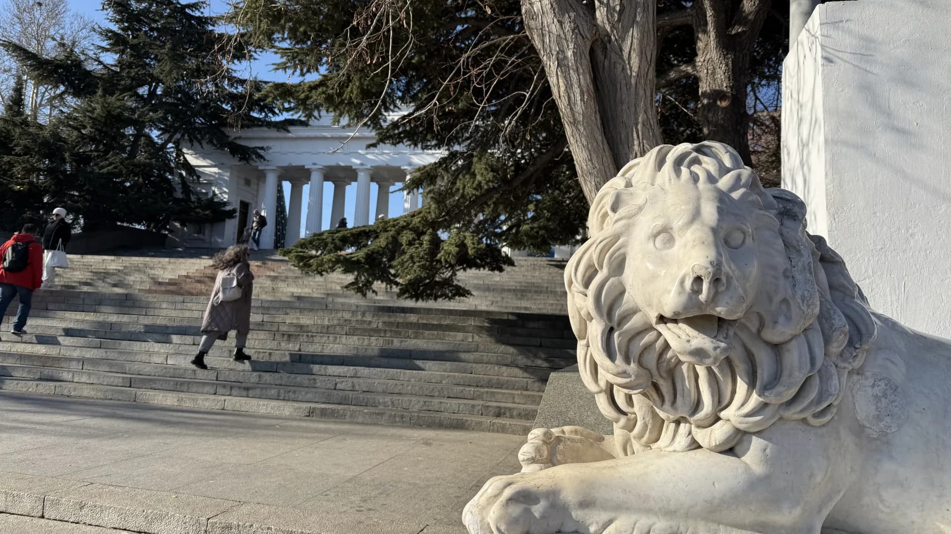 Изображение услуги10