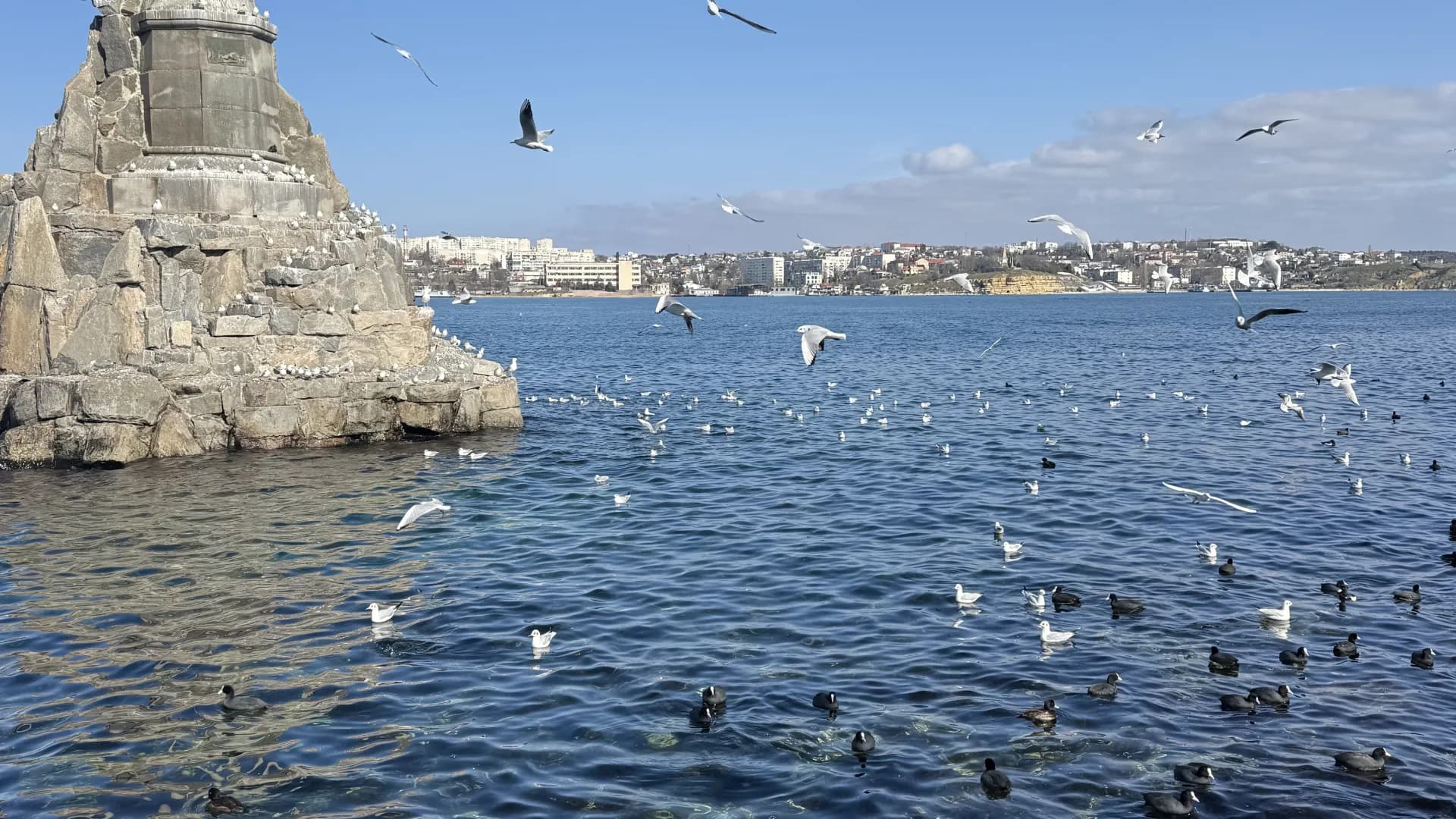 Изображение услуги1