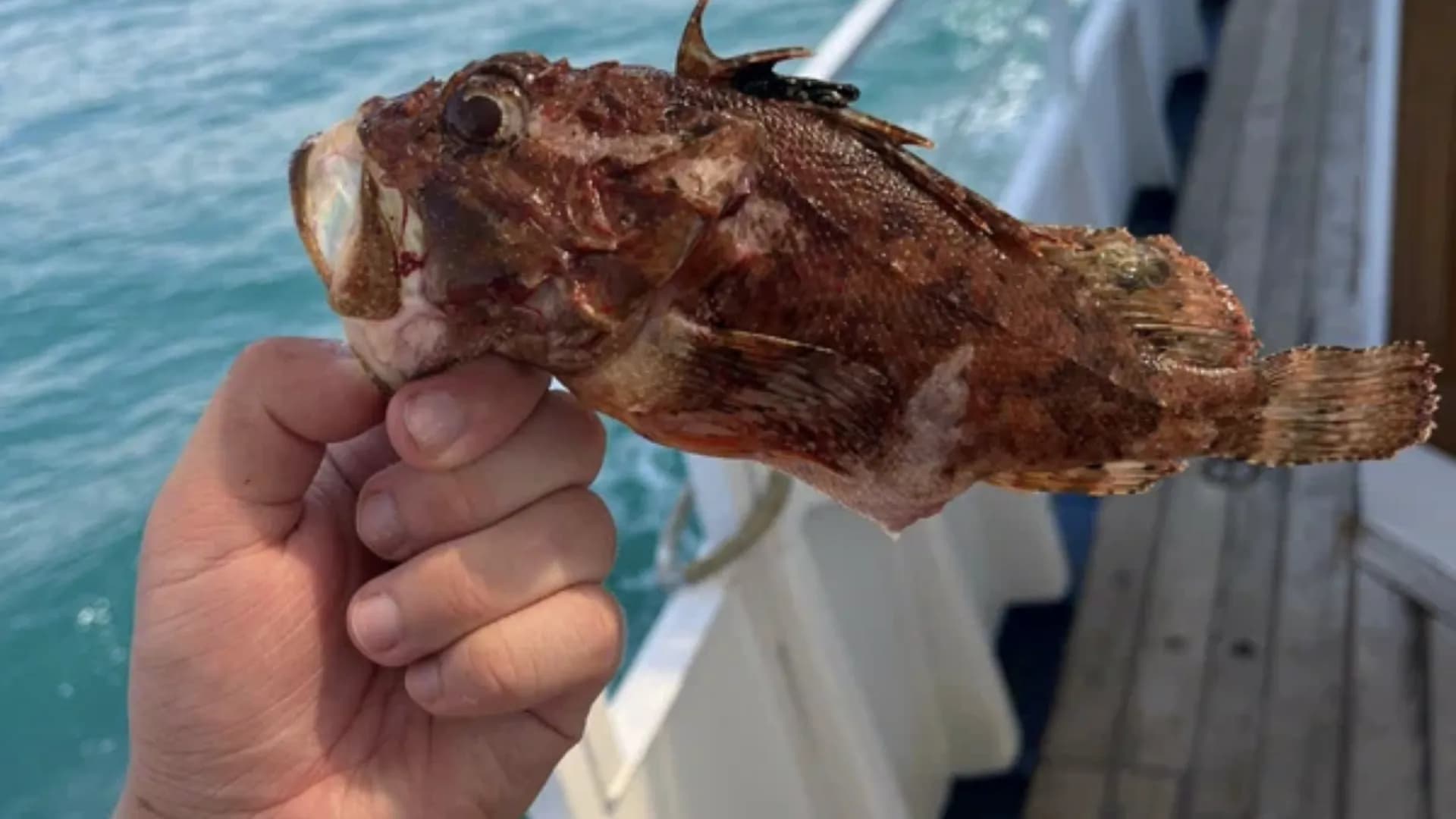 Изображение услуги3