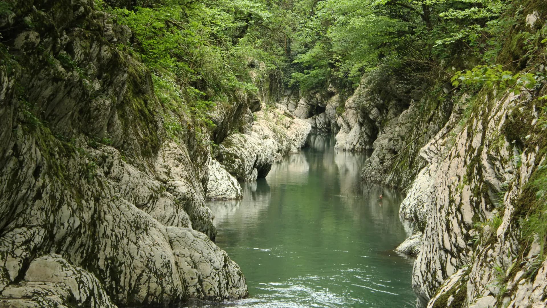 Изображение услуги4