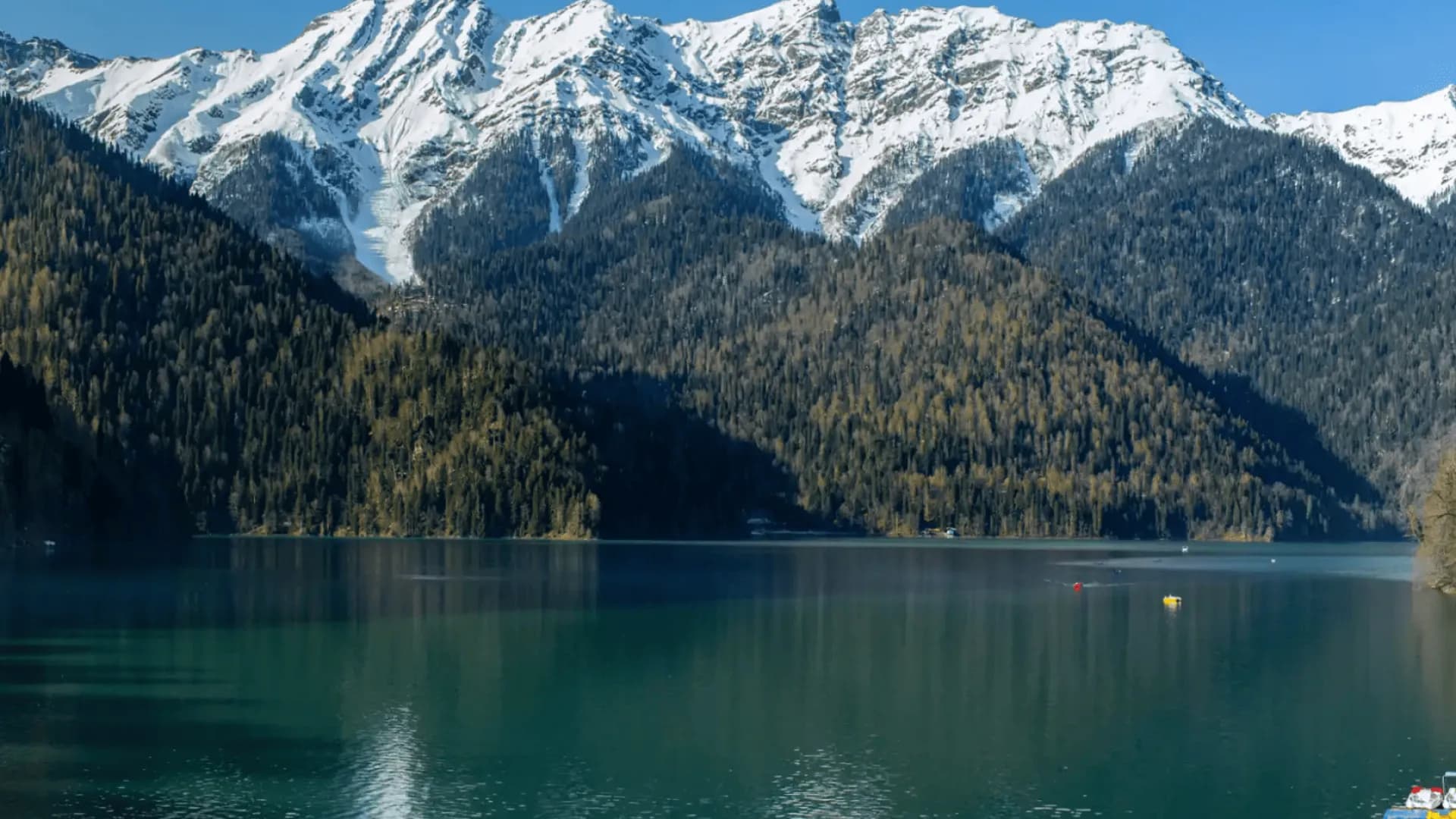 Изображение услуги1