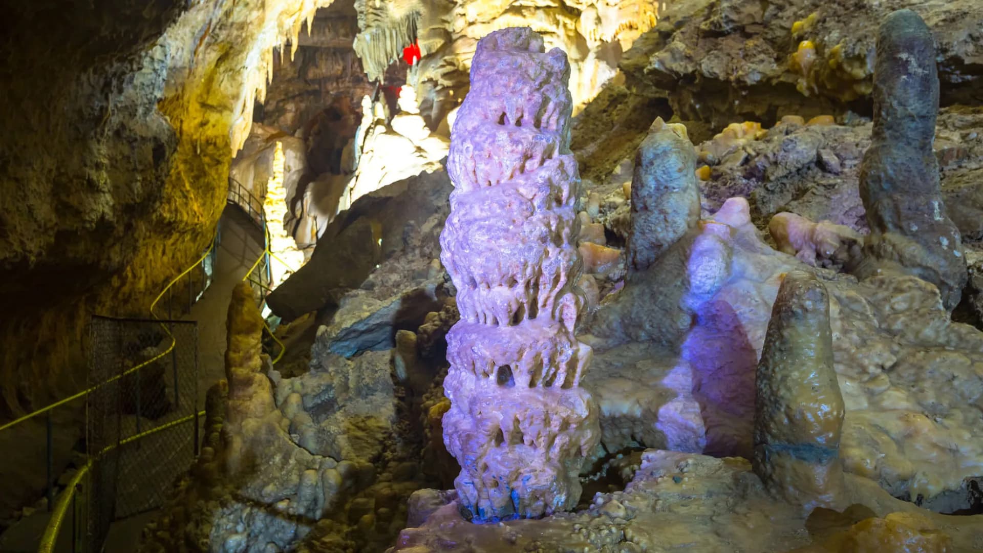 Изображение услуги4