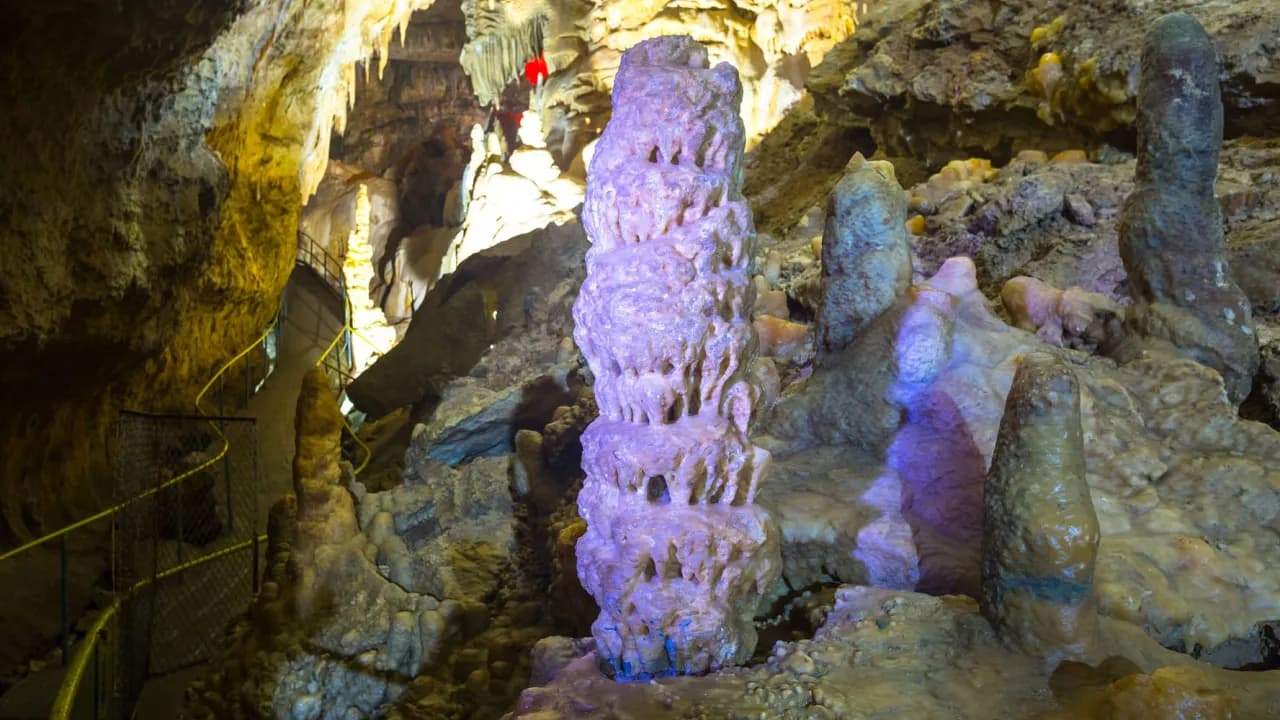 Изображение услуги4