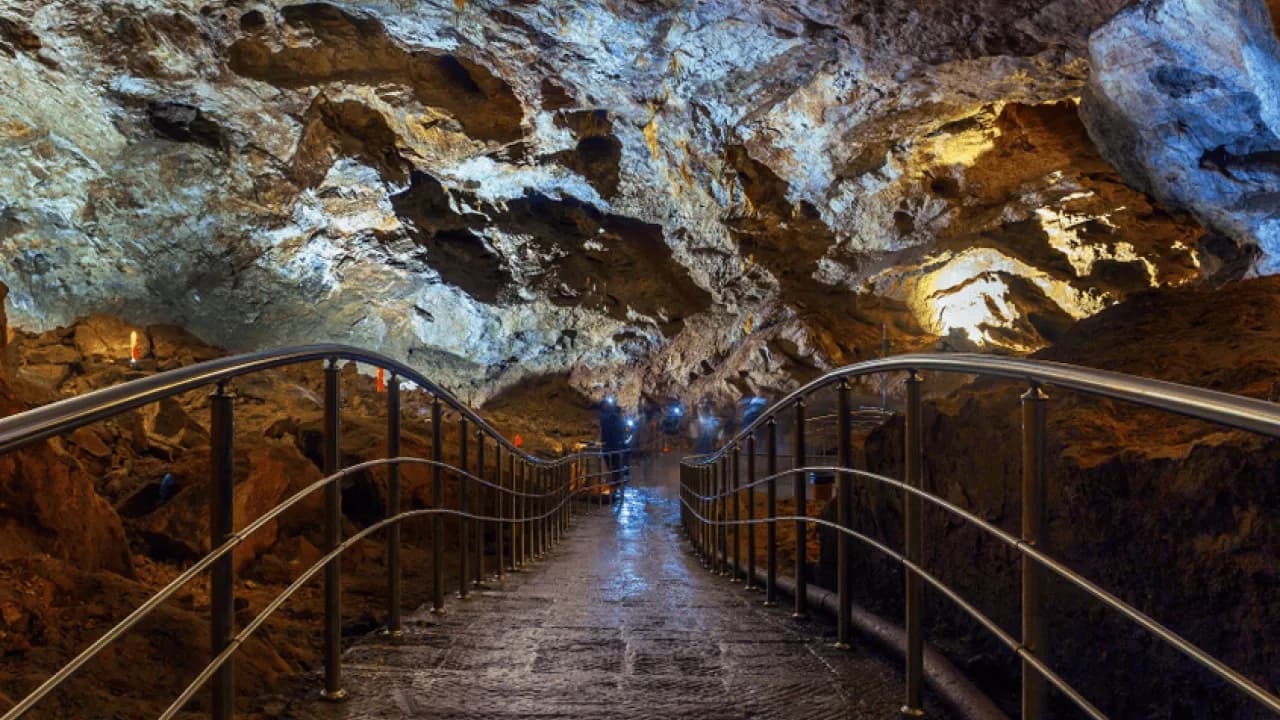 Изображение услуги6