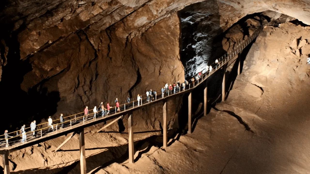 Изображение услуги7