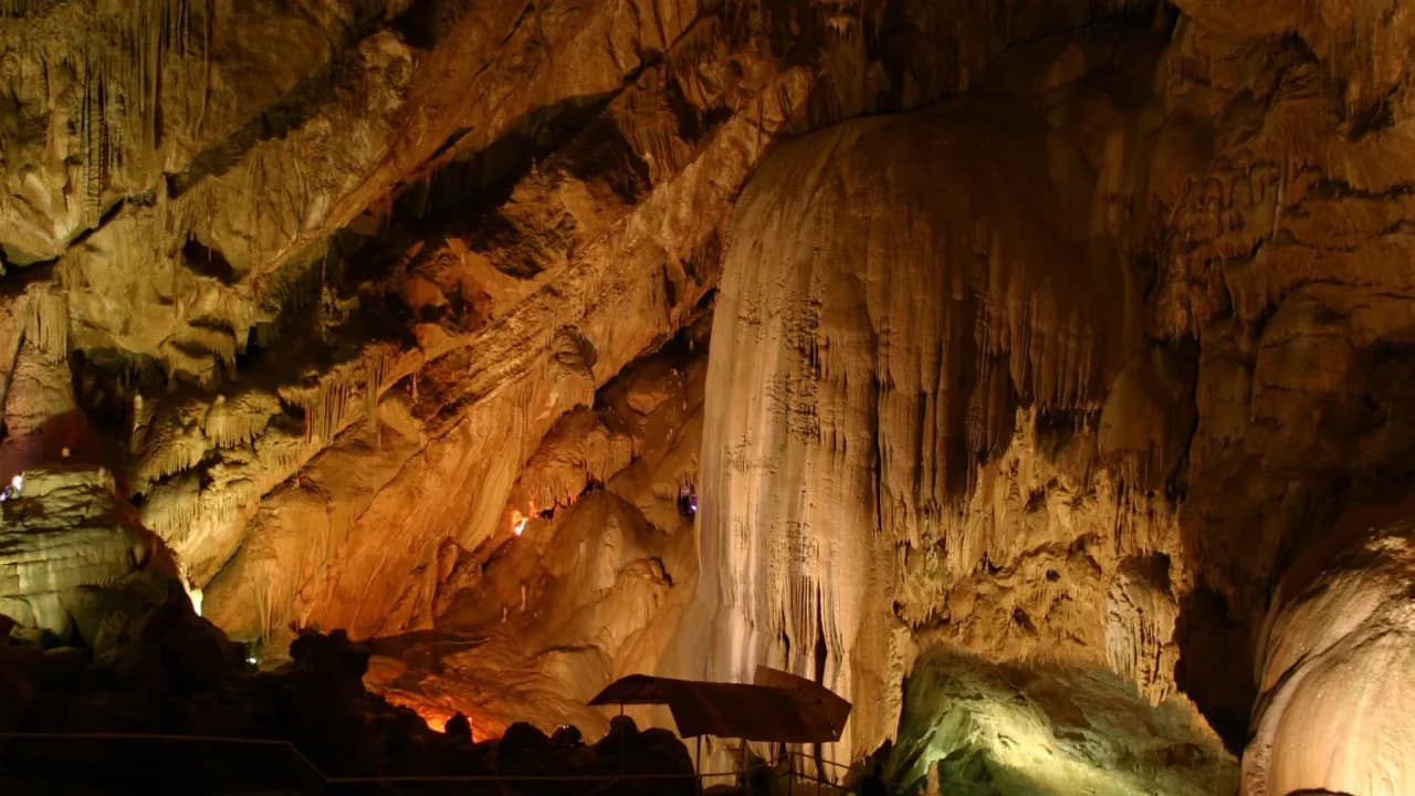 Изображение услуги9