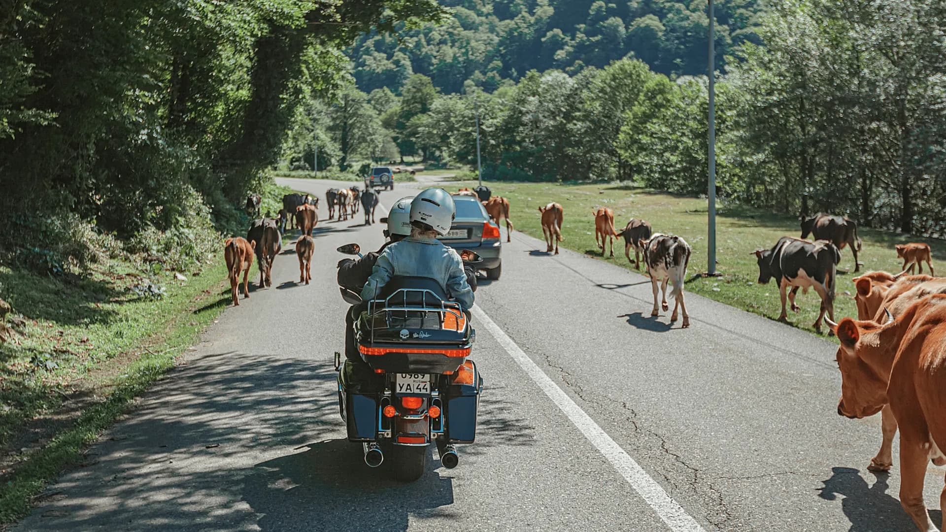 Изображение услуги1