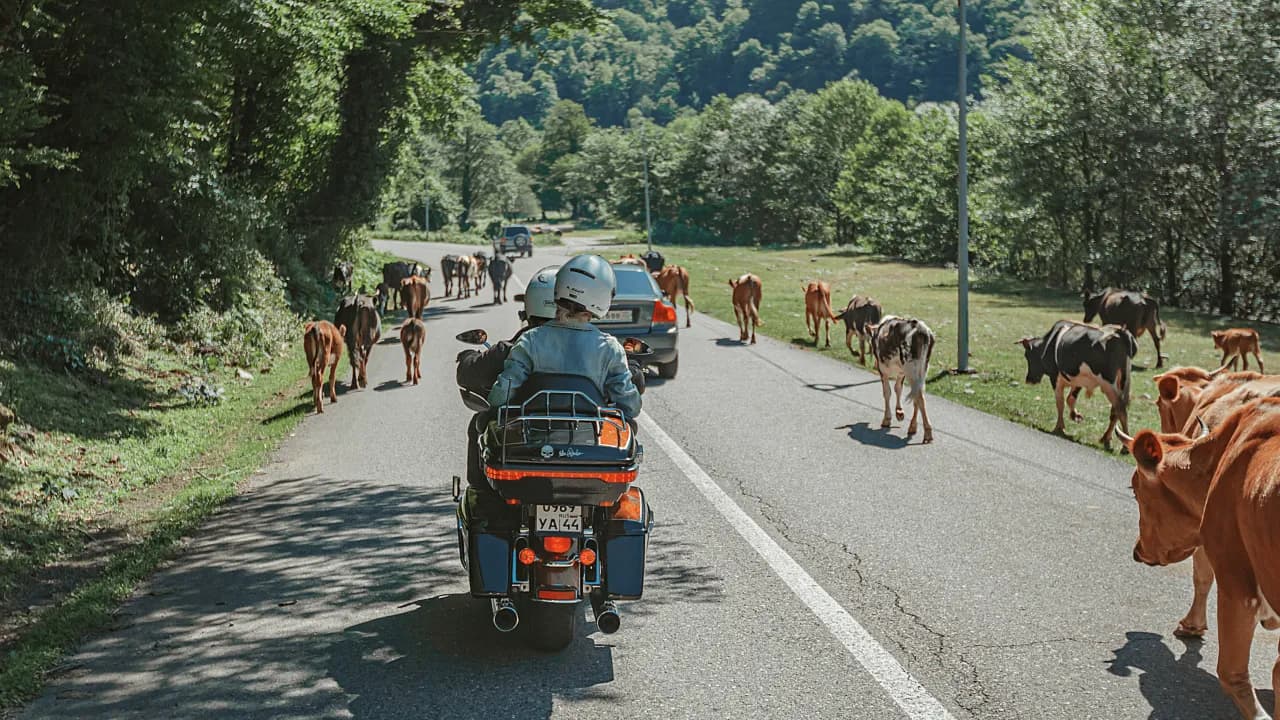 Изображение услуги1