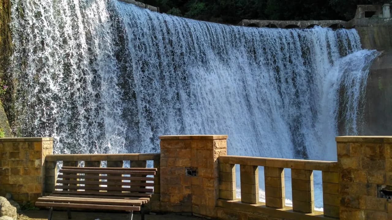 Изображение услуги7