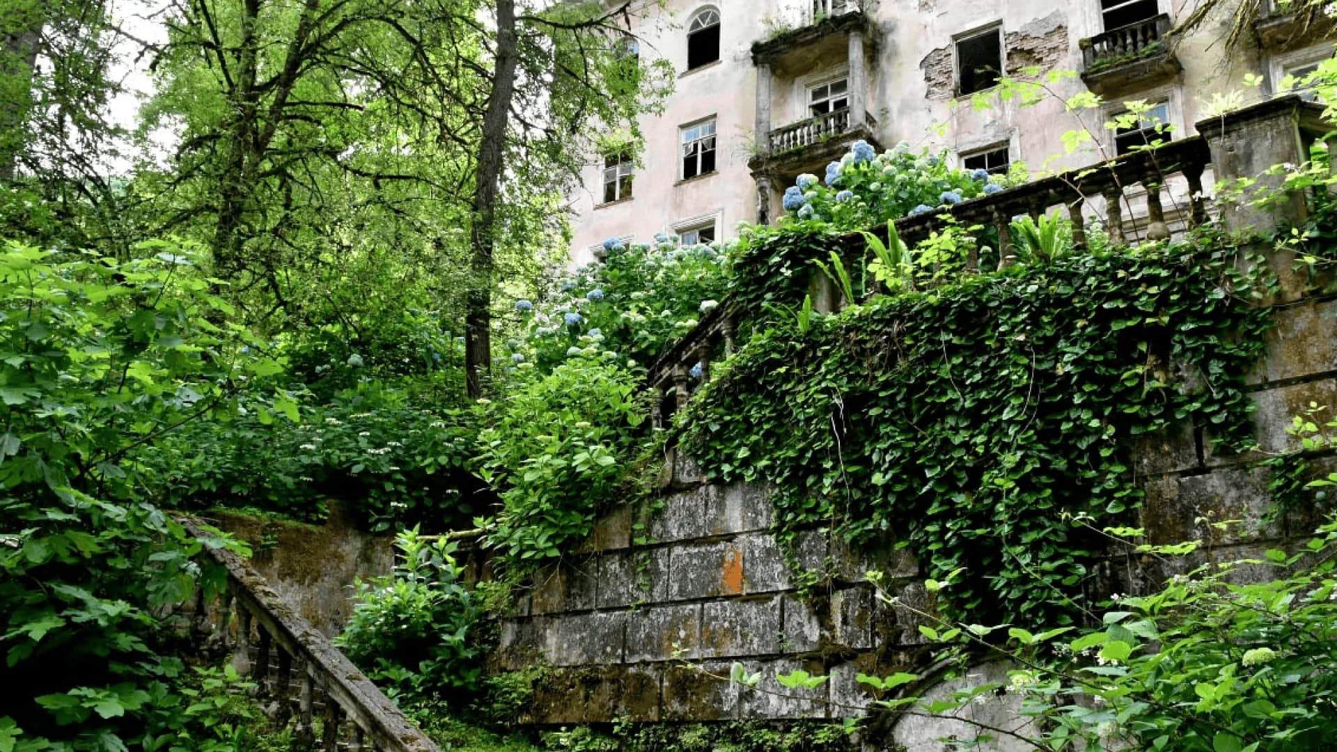 Изображение услуги2