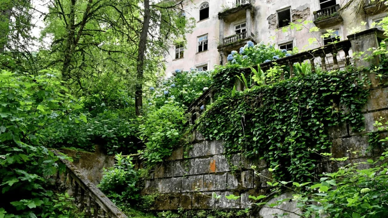 Изображение услуги2