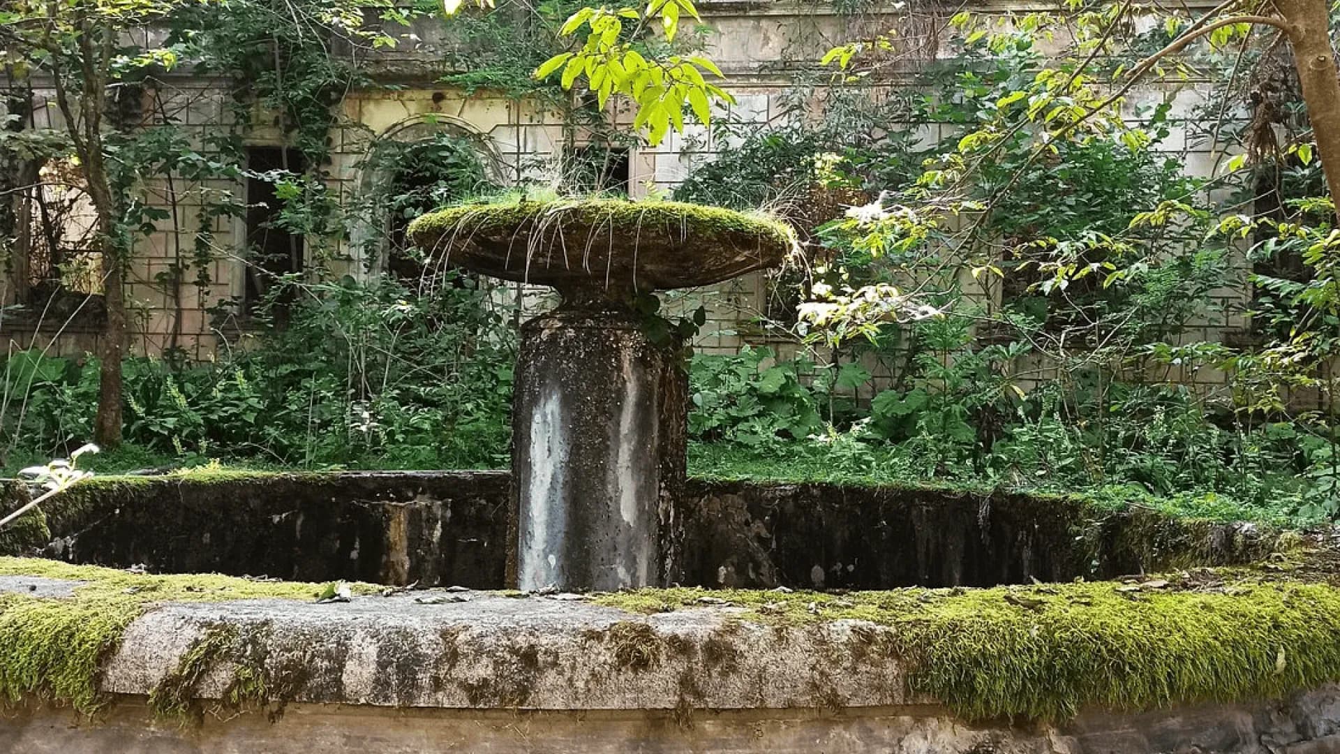 Изображение услуги5