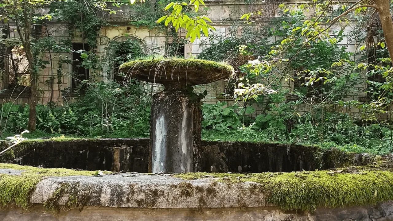 Изображение услуги5