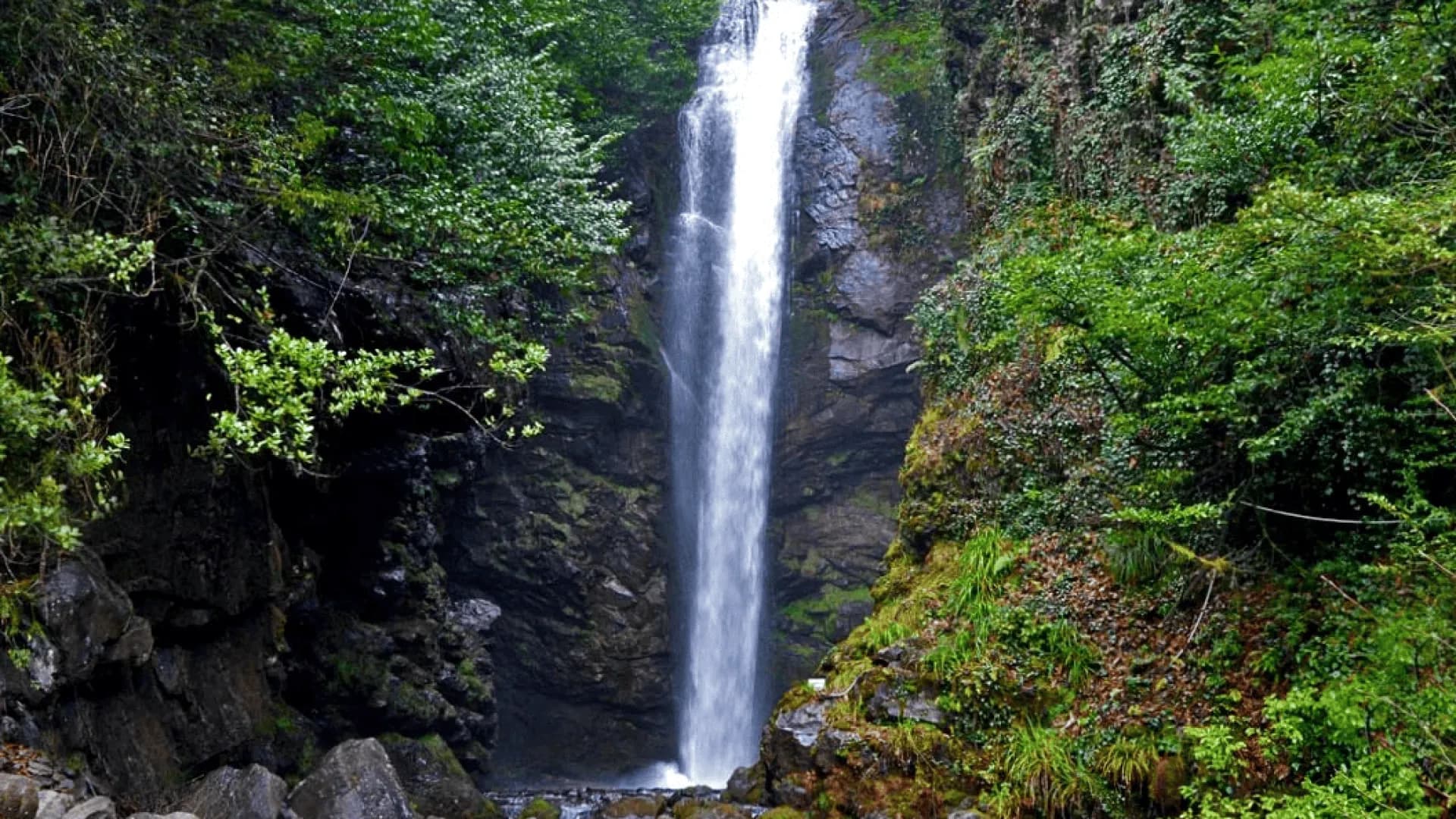 Изображение услуги6