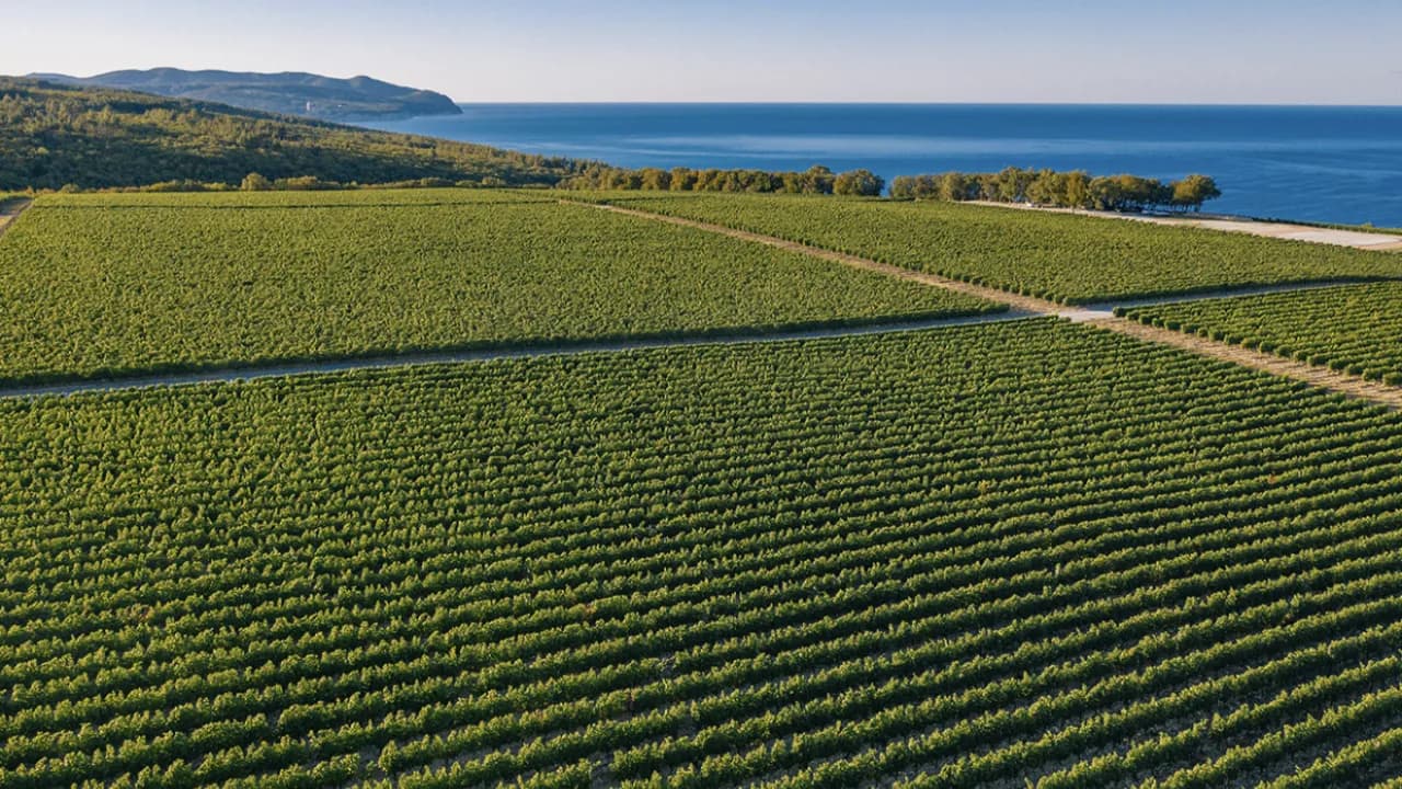 Изображение услуги5