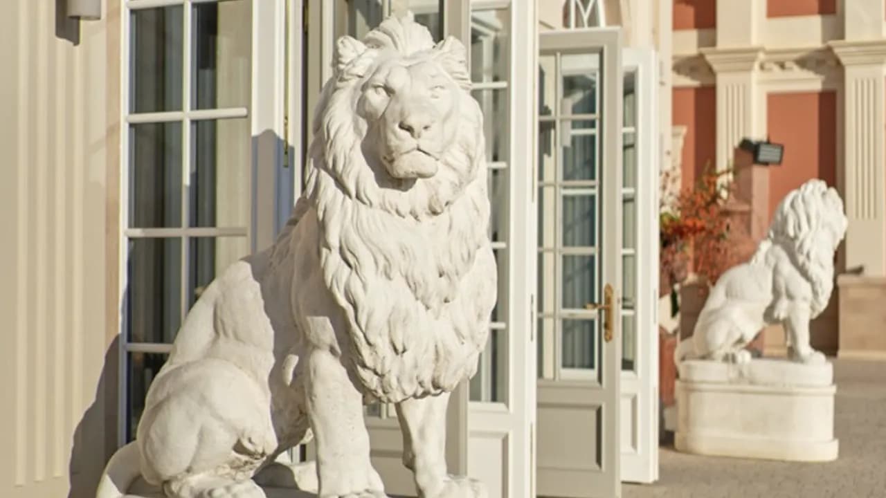 Изображение услуги6