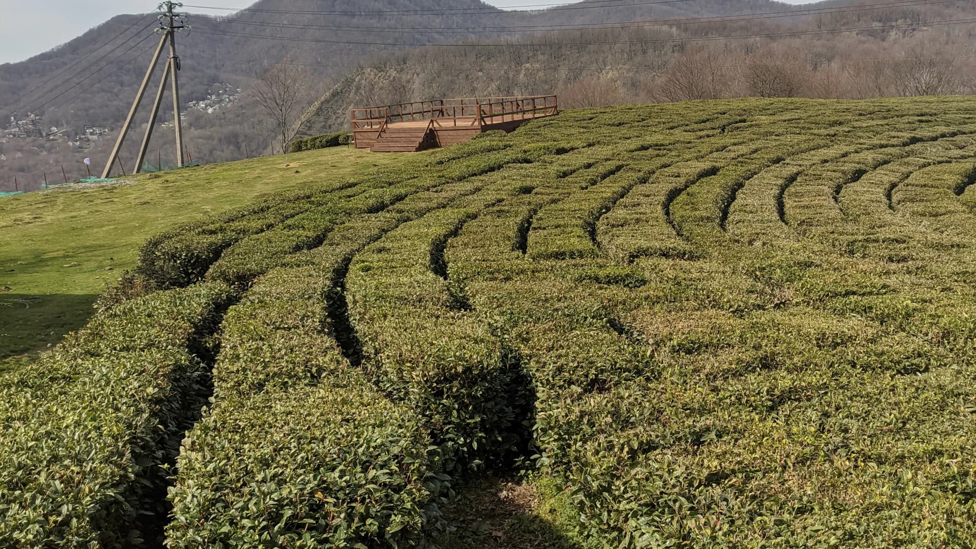 Изображение услуги4