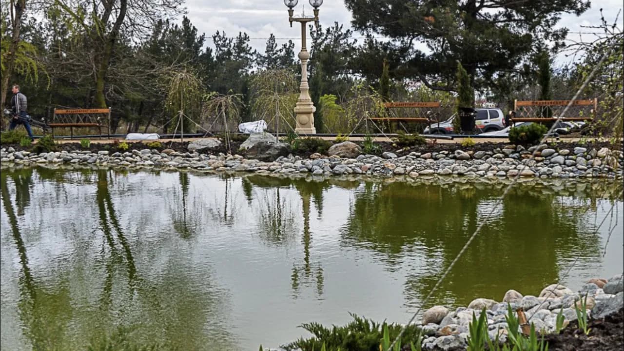 Изображение услуги4