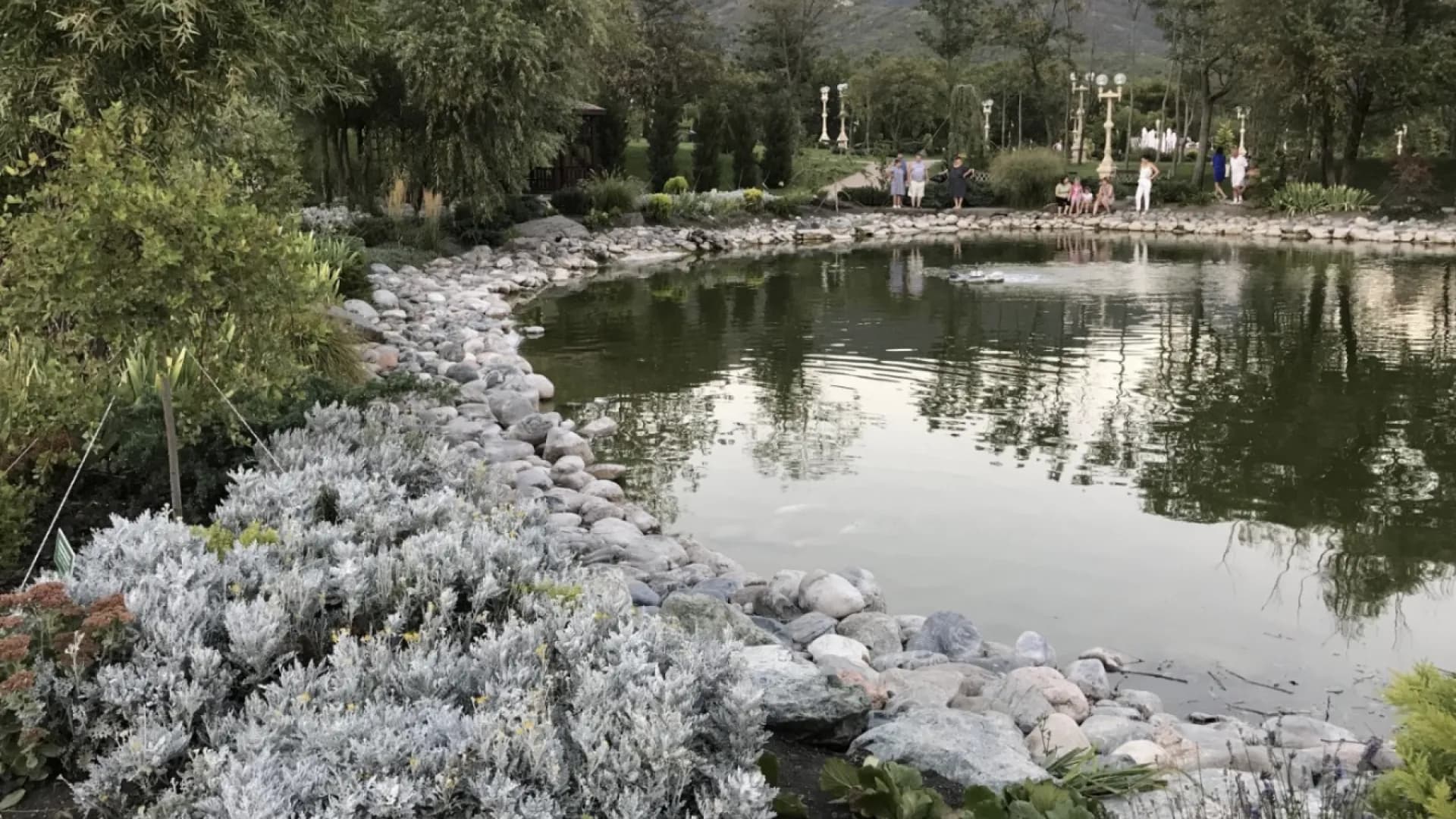 Изображение услуги5