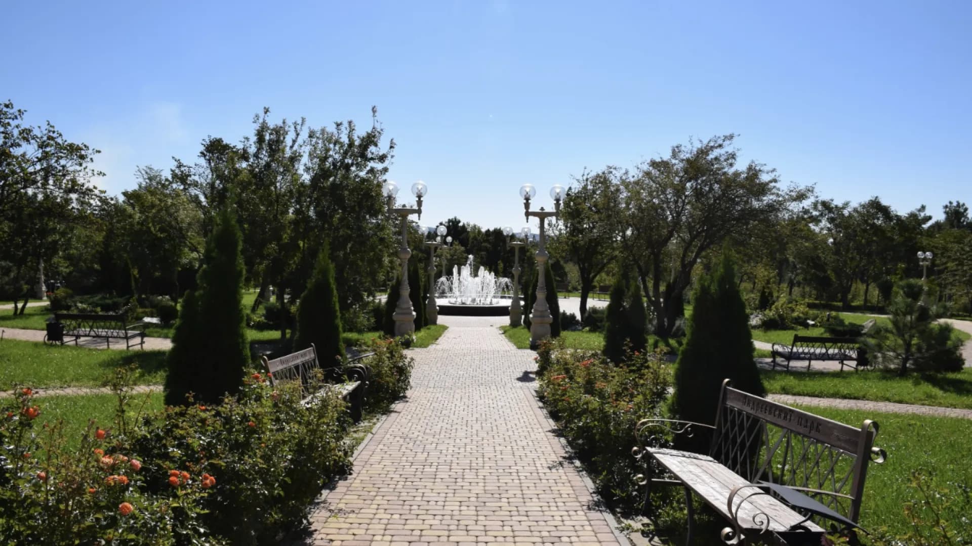 Изображение услуги7