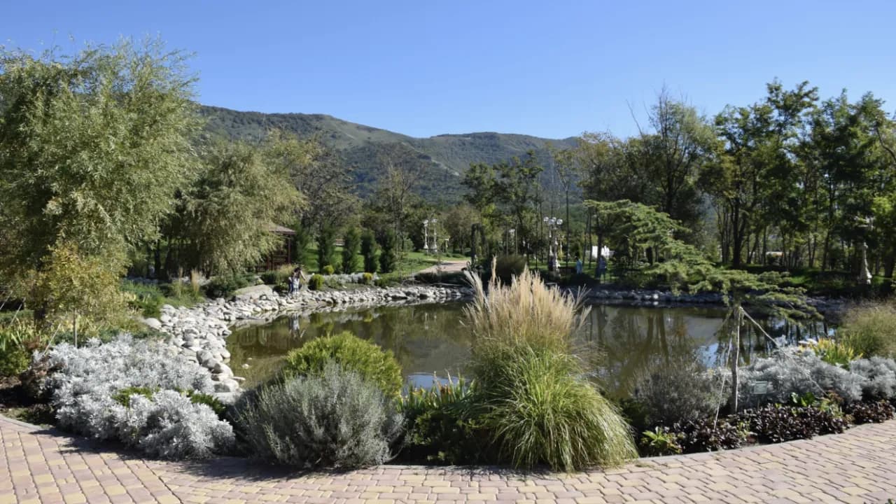 Изображение услуги8