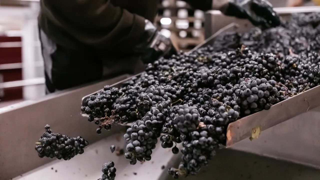 Изображение услуги1