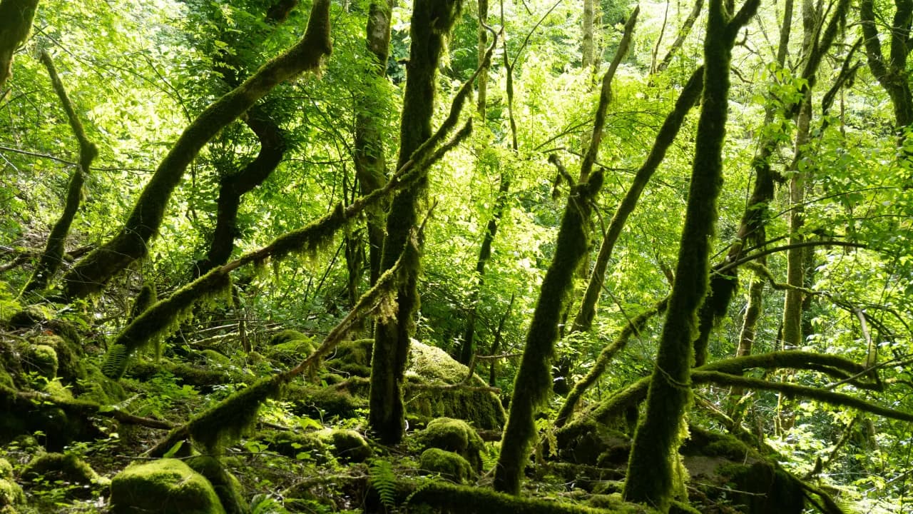 Изображение услуги4