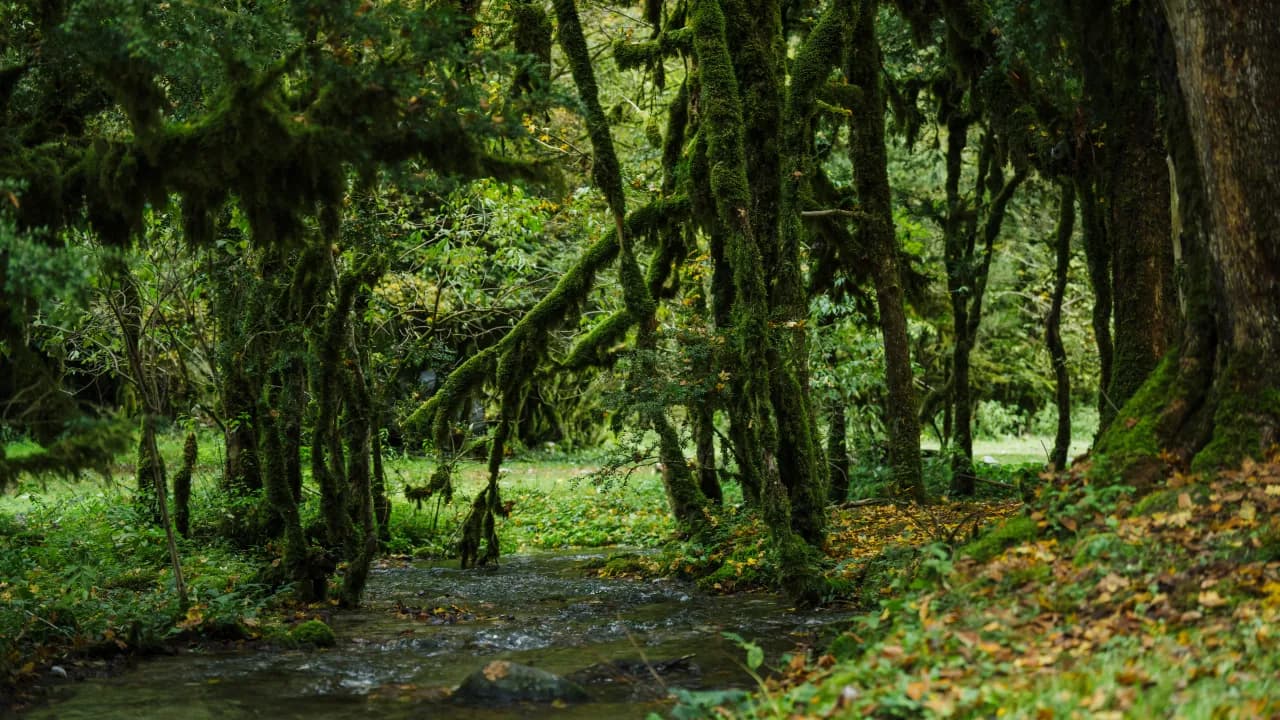 Изображение услуги7