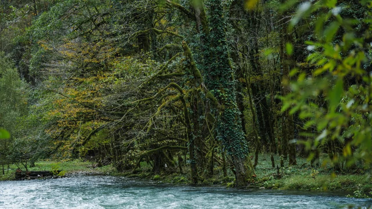 Изображение услуги8