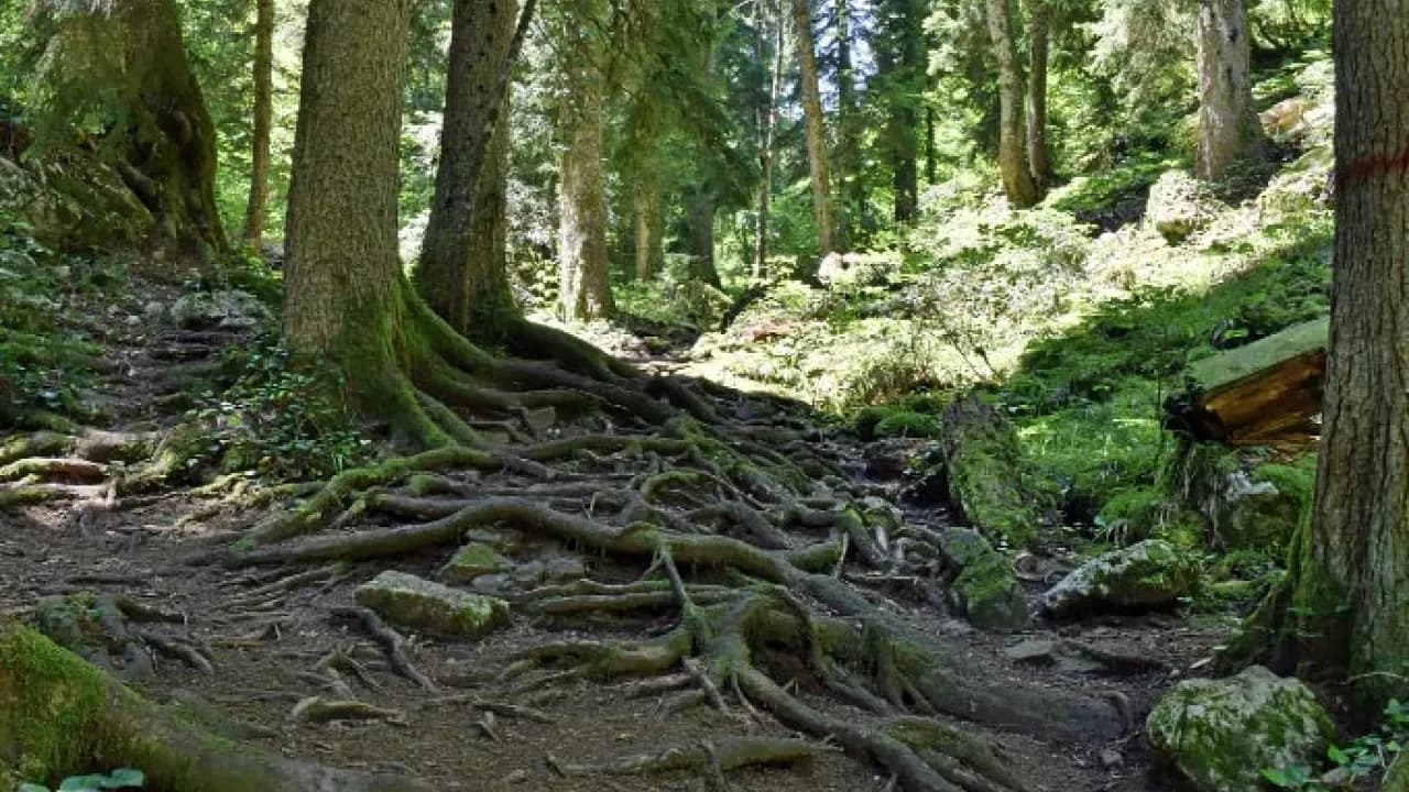 Изображение услуги12