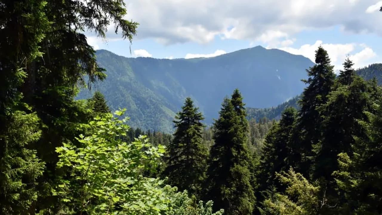 Изображение услуги14