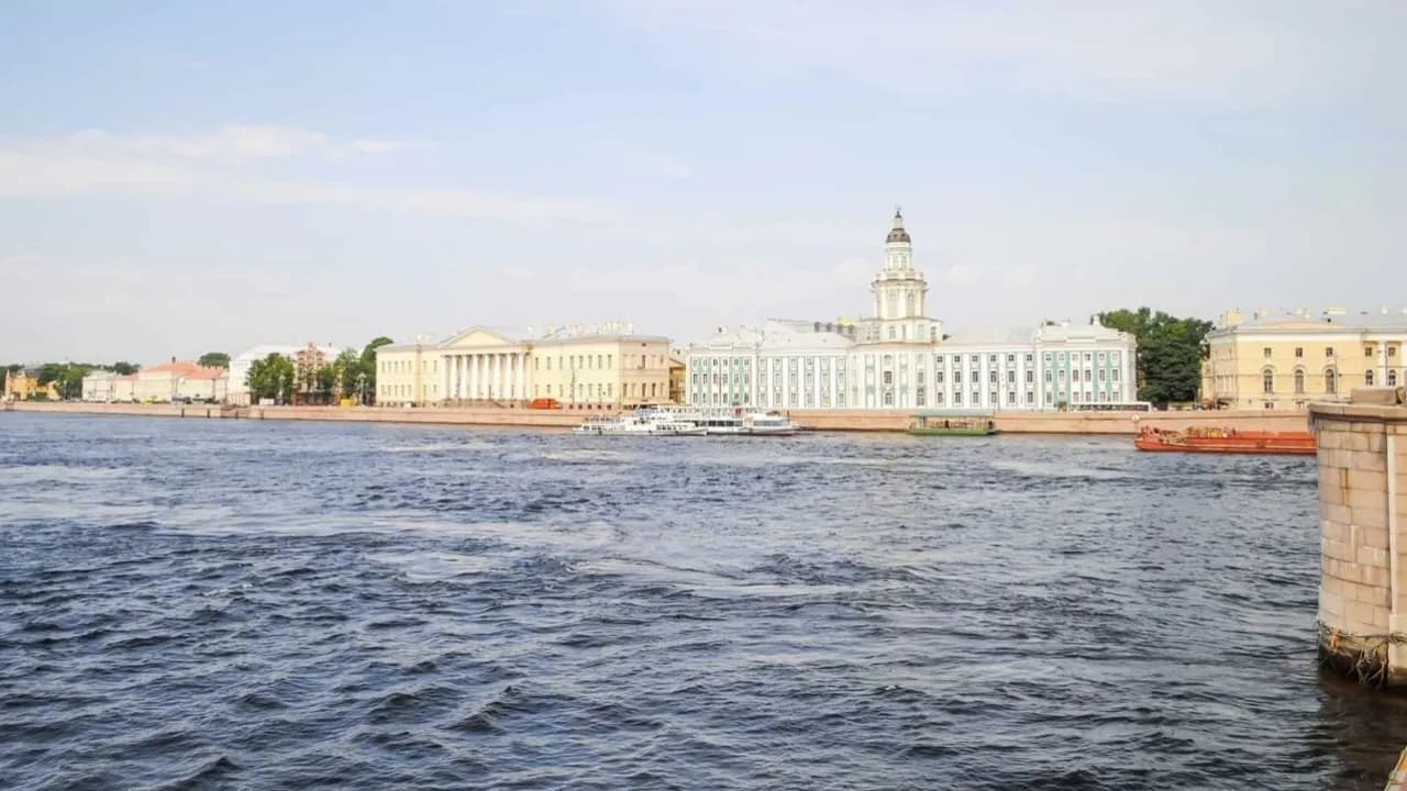 Изображение услуги3