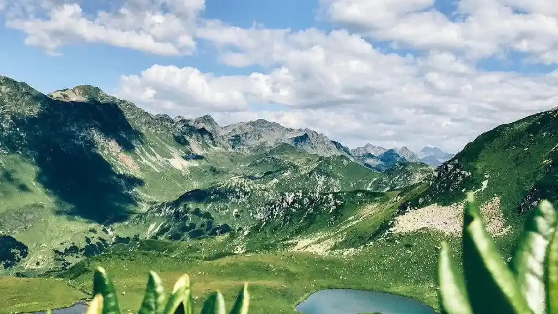 Изображение услуги5